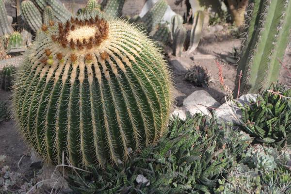 نمی توانم گیاهانم را مرتب آبیاری کنم! نمی توانم گیاهانم را مرتب آبیاری کنم!