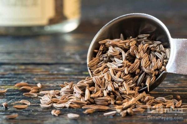 چگونه با زیره سبز لاغر شوید؟ چگونه با زیره سبز لاغر شوید؟